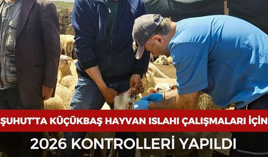 Şuhut’ta küçükbaş hayvan ıslahı çalışmaları için 2026 kontrolleri yapıldı