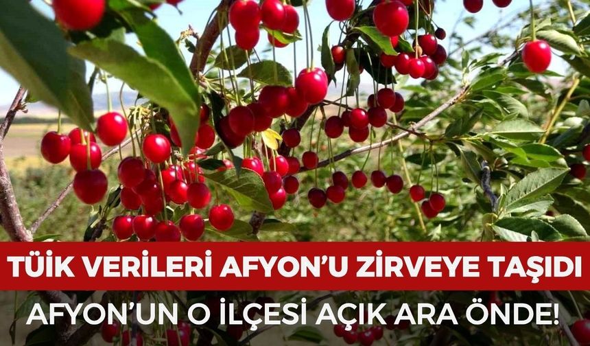 TÜİK verileri Afyonkarahisar’ı zirveye taşıdı: Afyon'un o ilçesi açık ara önde!