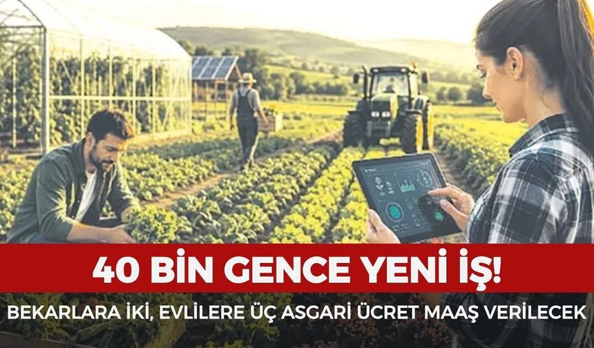40 bin gence yeni iş: Bekarlara iki, evlilere üç asgari ücret maaş verilecek!