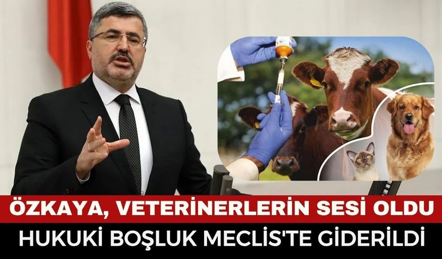 Afyonkarahisar Milletvekili Ali Özkaya Veterinerlerin Sesi Oldu: Tarihi Düzenleme Yasalaştı!