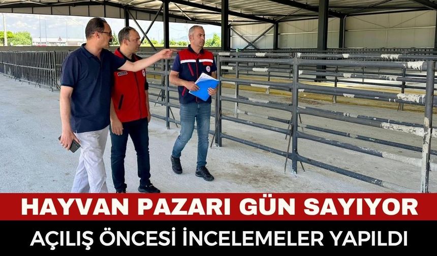 Bolvadin Hayvan Pazarı Gün Sayıyor... Tarım ve Orman İl Müdürlüğü Ekipleri Açılış Öncesi Sahada