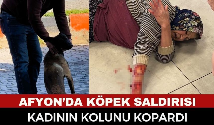 Afyon'da Kan Donduran Köpek Saldırısı: Tekme ve Sandalyeler Kar Etmedi, Sağlık Ekiplerini Bile Engelledi!