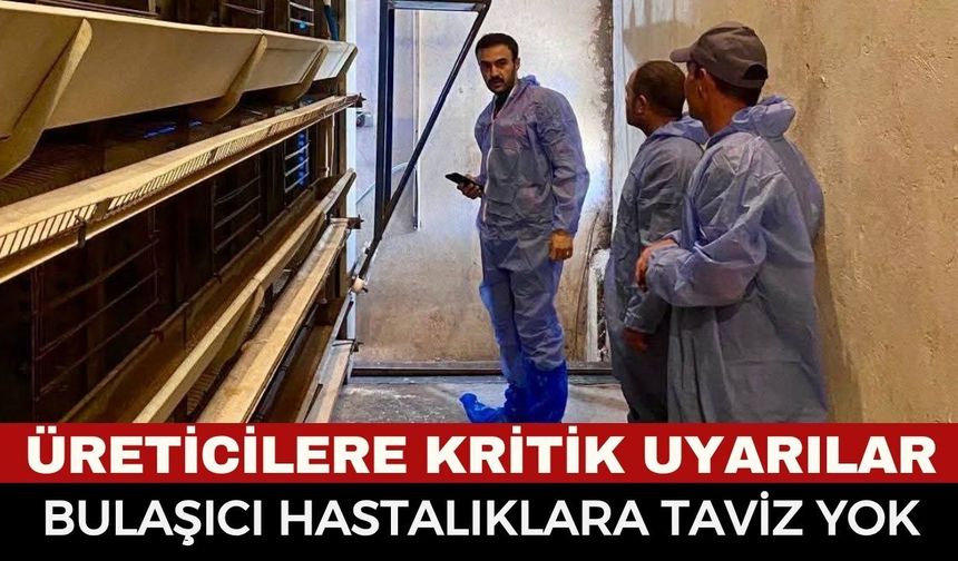 Bolvadin'de Kanatlı İşletmelerine Sıkı Takip! Tarım Müdürlüğü Ekipleri Sahaya İndi
