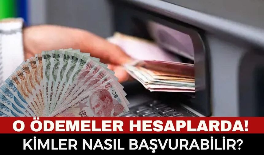 Milyonların Beklediği O Destek Netleşti: Kimler Başvurabilir? Tam 10,88 Milyar Liralık SED Ödemesi Hesaplara Yatırıldı