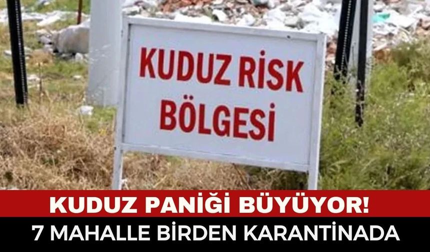 Kuduz Paniği Büyüyor! Yetkililerden Acil Çağrı... Van'da 7 Mahalle Karantinaya Alındı