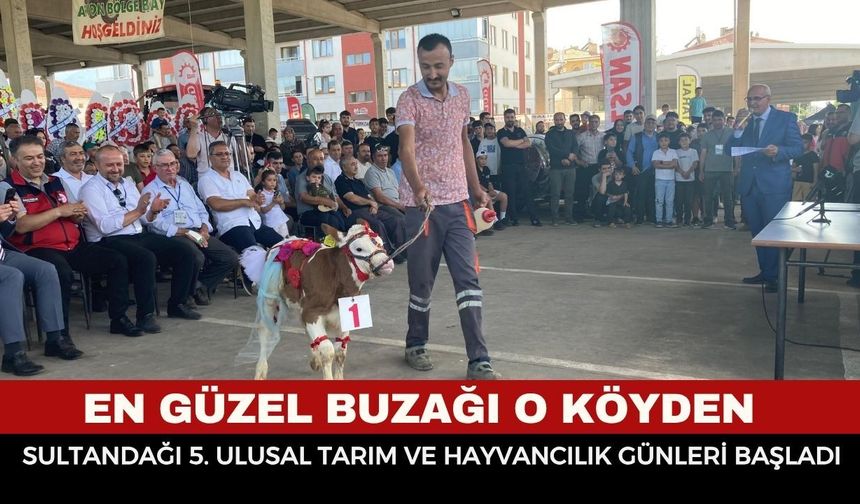 Sultandağı’nda Renkli Yarışma: Tarım Günleri’nde "En Güzel Buzağı" Seçildi