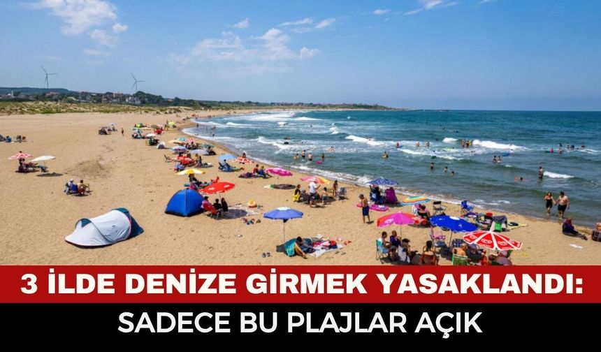 Son Dakika: 3 İlde Plajlar Kapatıldı... Bu Plajlar Hariç Hiçbir Yerde Denize Girilemeyecek! İşte Yasak Olan Bölgeler
