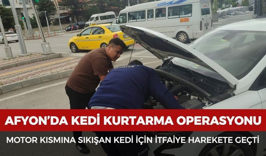 Afyon'da kedi kurtarma operasyonu: Motor kısmına sıkışan kedi için itfaiye harekete geçti