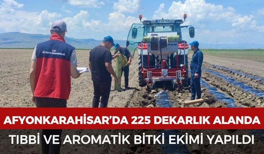 Afyonkarahisar’da 225 dekarlık alanda tıbbi ve aromatik bitki ekimi yapıldı