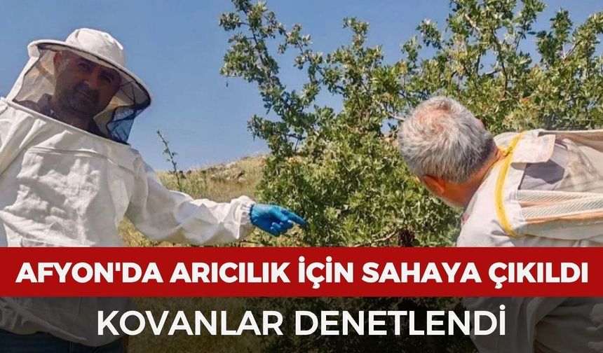 Afyonkarahisar'da arıcılık için sahaya çıkıldı: Kovanlar denetlendi