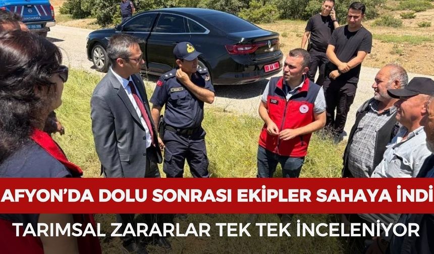 Afyonkarahisar’da dolu sonrası ekipler sahaya indi: Tarımsal zararlar tek tek inceleniyor