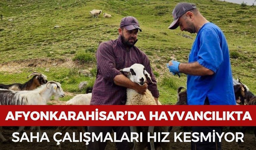 Afyonkarahisar’da hayvancılıkta saha çalışmaları hız kesmiyor