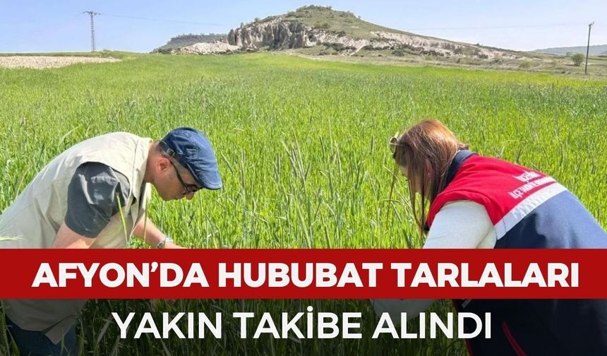 Afyonkarahisar’da hububat tarlaları yakın takibe alındı