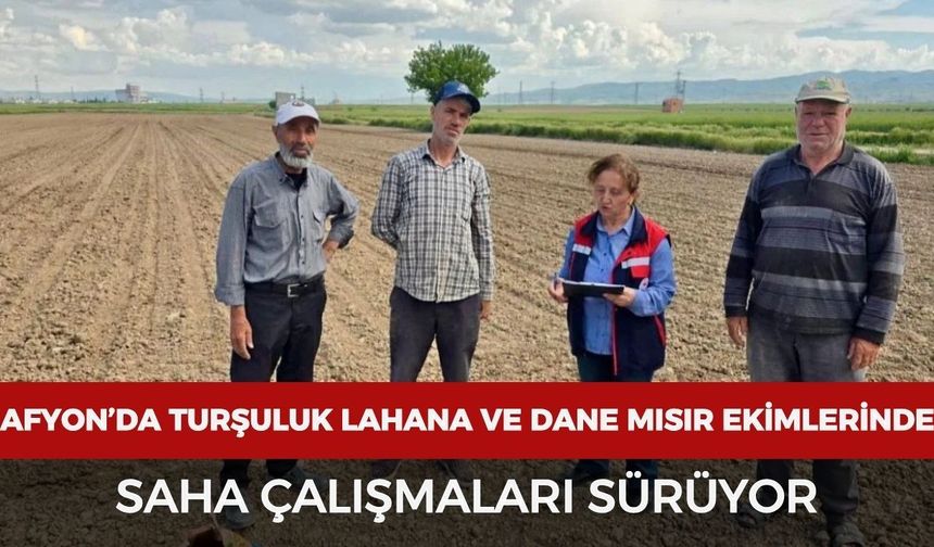 Afyonkarahisar’da turşuluk lahana ve dane mısır ekimlerinde saha çalışmaları sürüyor