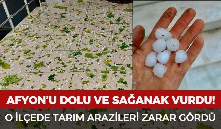 Afyonkarahisar’ı dolu ve sağanak vurdu: O ilçede tarım arazileri zarar gördü