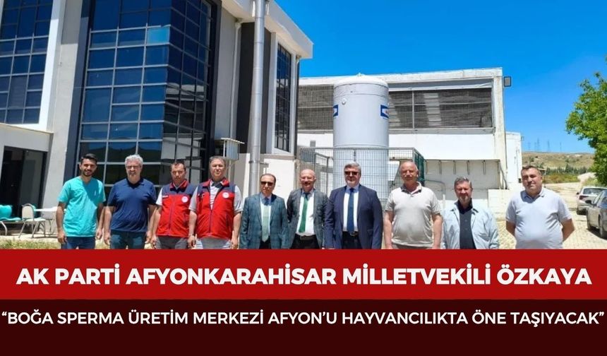 AK Parti Afyonkarahisar Milletvekili Özkaya: “Boğa sperma üretim merkezi Afyon'u hayvancılıkta öne taşıyacak”
