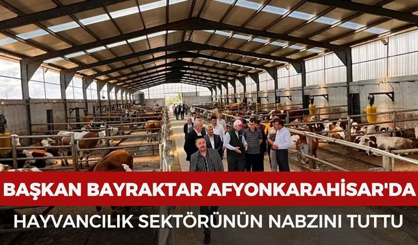 Başkan Bayraktar Afyonkarahisar'da hayvancılık sektörünün nabzını tuttu