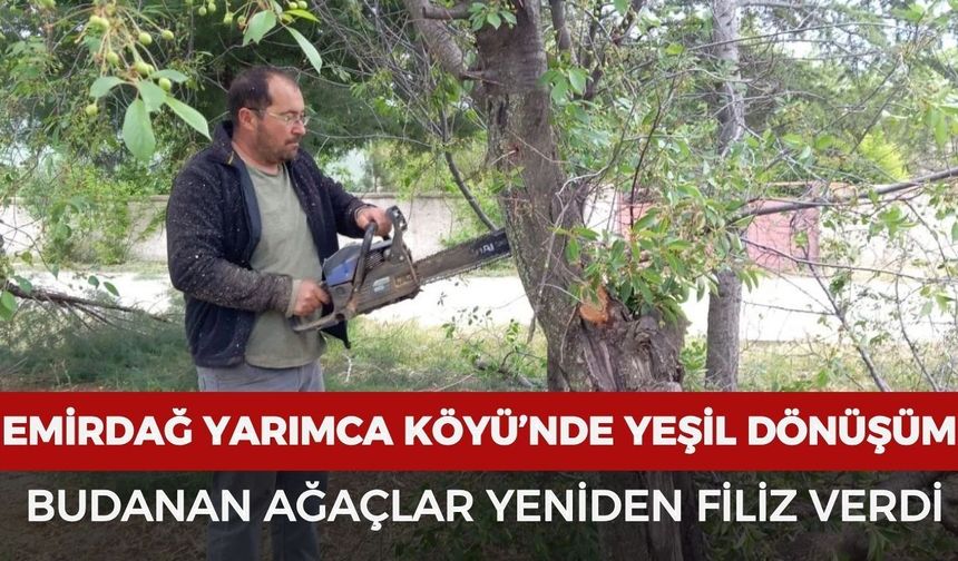 Emirdağ Yarımca Köyü’nde yeşil dönüşüm: Budanan ağaçlar yeniden filiz verdi