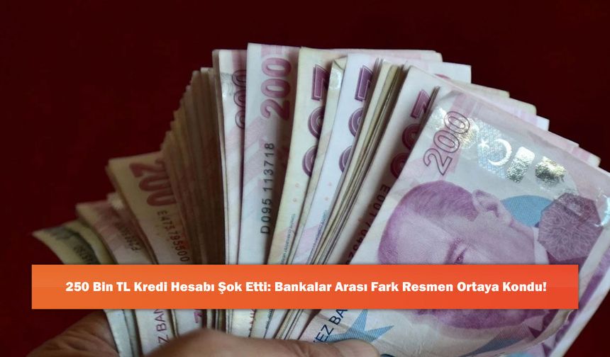250 Bin TL Kredi Hesabı Şok Etti: Bankalar Arası Fark Resmen Ortaya Kondu!