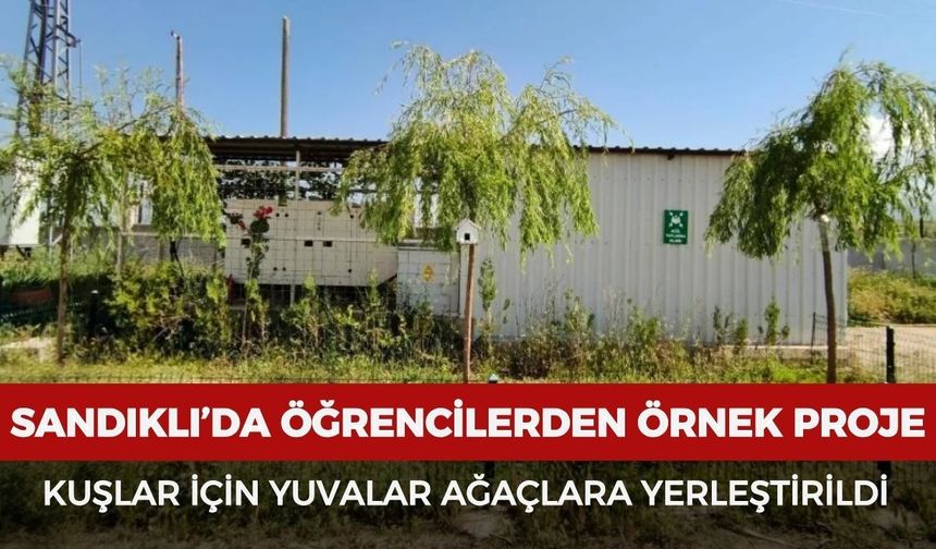 Sandıklı’da öğrencilerden örnek proje: Kuşlar için yuvalar ağaçlara yerleştirildi
