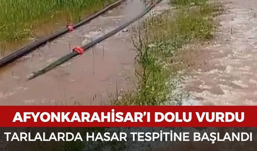 Afyonkarahisar’ı dolu vurdu: Tarlalarda hasar tespitine başlandı