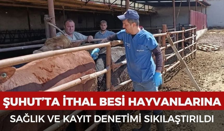 Şuhut’ta ithal besi hayvanlarına sağlık ve kayıt denetimi sıkılaştırıldı