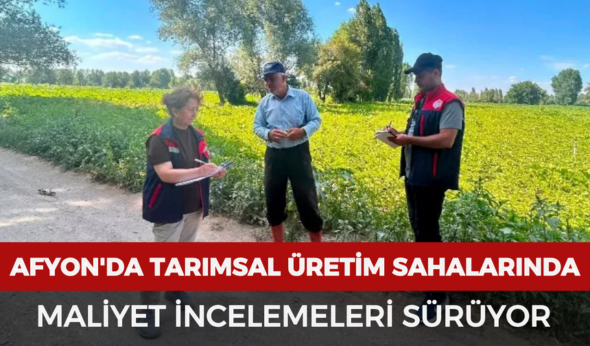 Afyonkarahisar'da tarımsal üretim sahalarında maliyet incelemeleri sürüyor