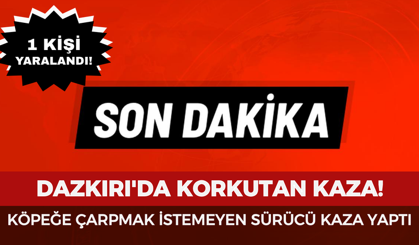 Dazkırı'da köpeğe çarpmak istemeyen sürücü kaza yaptı: 1 kişi yaralandı
