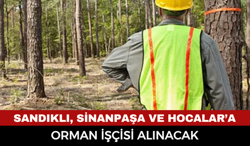 Afyonkarahisar'da orman işçisi alınacak