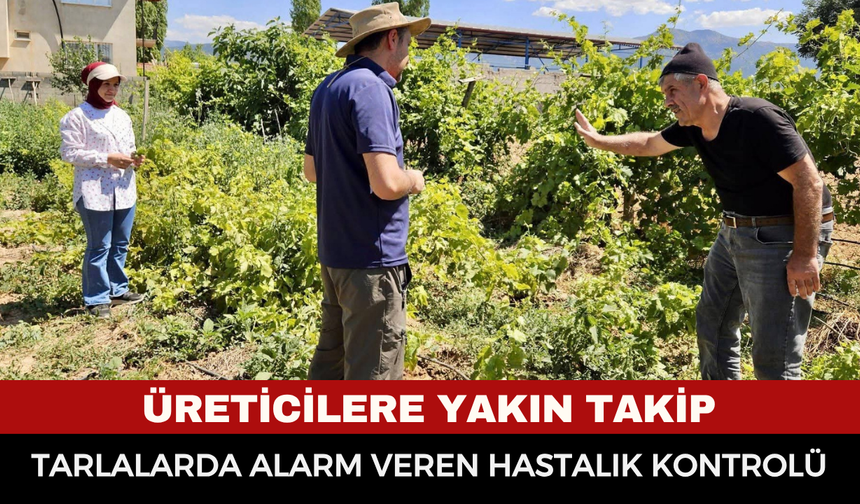 Üreticilere Yakın Takip: Tarlalarda Alarm Veren Hastalık Kontrolü