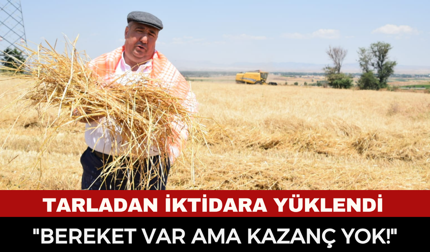 Afyonkarahisar tarımında kriz çanları: "Samanın kilosu 2 lira, onu bile alan yok!"
