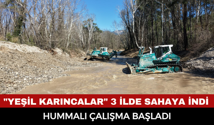 DSİ'nin "Yeşil Karıncaları" Bölge Genelinde Seferber Oldu: Taşkın Riskine Karşı Makineli Hummalı Çalışma!
