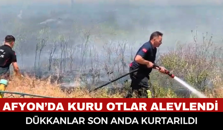 Afyonkarahisar İkinci Sanayi Sitesi Yakınında Korkutan Anız Yangını: Dükkanlara Sıçramadan Söndürüldü!