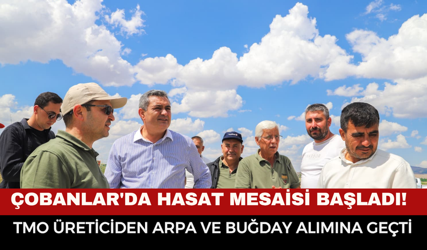 Çobanlar'da Hasat Mesaisi Başladı! TMO Üreticiden Arpa ve Buğday Alımına Geçti