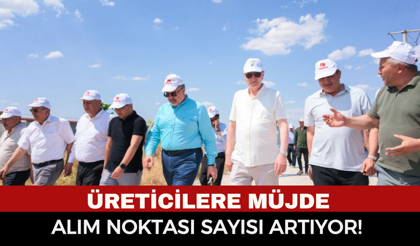 TMO Genel Müdürü Ahmet Güldal ve Milletvekili Özkaya'dan Afyonkarahisar'da Hasat İncelemesi: Alım Noktaları Artıyor!
