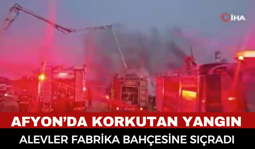 Afyonkarahisar'da Korkutan Yangın: Otluk Alanda Başlayan Alevler Fabrika Bahçesine Sıçradı!