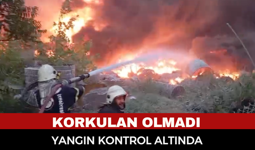 Son dakika: Afyonkarahisar’daki yangından iyi haber! Ekipler dört bir koldan müdahale etti, alevler kontrol altında...