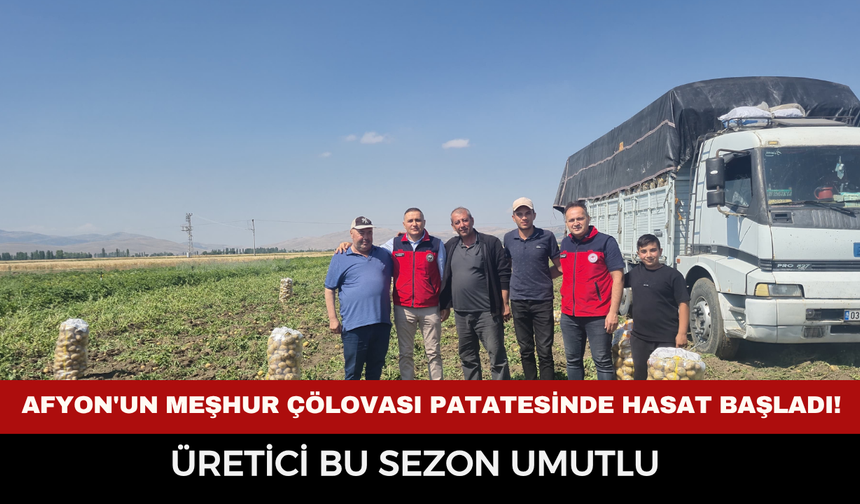 Afyon'un meşhur Çölovası patatesinde hasat başladı! Üretici bu sezon umutlu