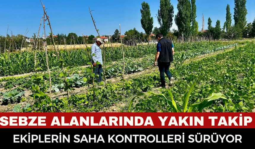 Afyonkarahisar’da sebze üretim alanlarında sıkı denetim: Hastalık ve yabancı otla mücadele başladı!