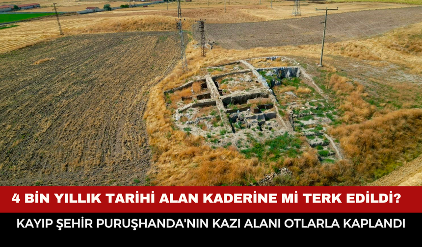 4 bin yıllık tarihi alan kaderine mi terk edildi? Kayıp şehir Puruşhanda'nın kazı alanı otlarla kaplandı
