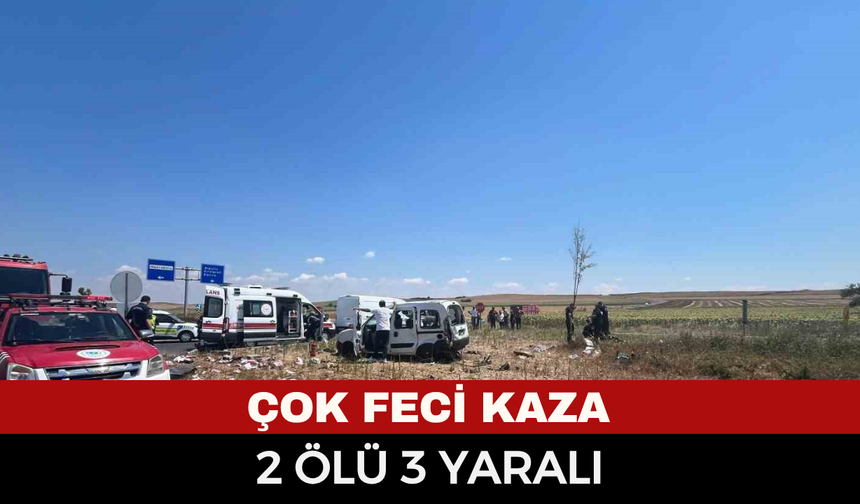 Feci kaza! Kamyonla çarpışan otomobilde 2 kişi hayatını kaybetti