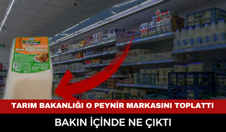 Tarım Bakanlığı hangi peynir markasını toplattı? Tahsildaroğlu peynirlerinde listeria bakterisi mi tespit edildi?
