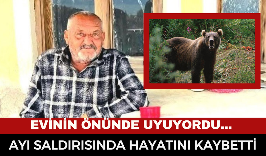 Evinin Önünde Uyurken Ayı Saldırısına Uğrayan Vatandaş Hayatını Kaybetti!