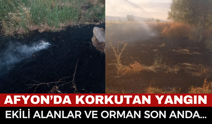 Afyon'da Korkutan Anız Yangını: Ormana ve Ekili Arazilere Sıçramadan Son Anda Söndürüldü!