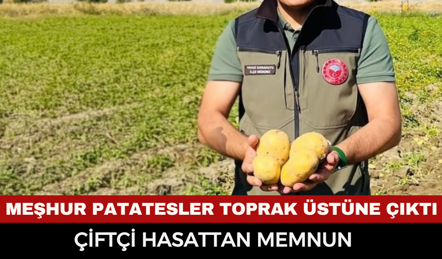 Dinar’da Hasat Sezonu Başladı: Meşhur Çölovası Patatesinde İlk Sökümler Yüzleri Güldürdü!