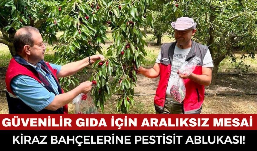 Afyonkarahisar’da kiraz hasadı öncesi dev denetim: Numuneler laboratuvarlara gönderildi