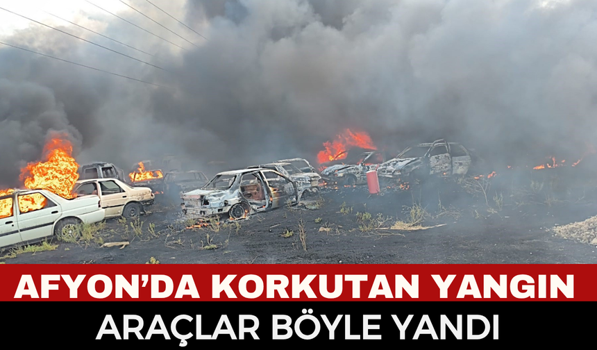 Afyonkarahisar Sanayi Sitesi'nde Korkutan Yangın: Otluk Alanda Başladı, Hurda Araçlara Sıçradı!