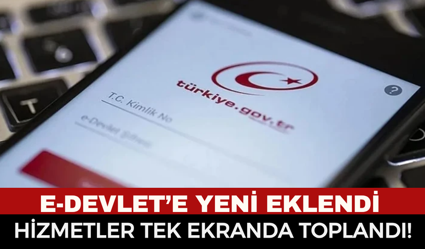 e-Devlet'te Yeni Hizmet: Tüm Ödeme ve Elektronik Para Hesapları Tek Ekranda Toplandı