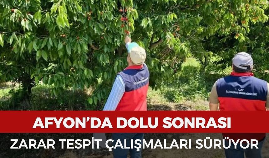 Afyon’da dolu sonrası zarar tespit çalışmaları sürüyor