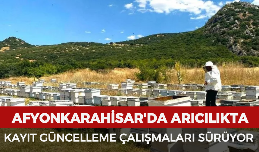 Afyonkarahisar'da arıcılıkta kayıt güncelleme çalışmaları sürüyor